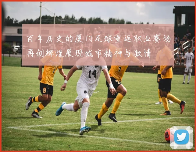 百年历史的厦门足球重返职业赛场再创辉煌展现城市精神与激情